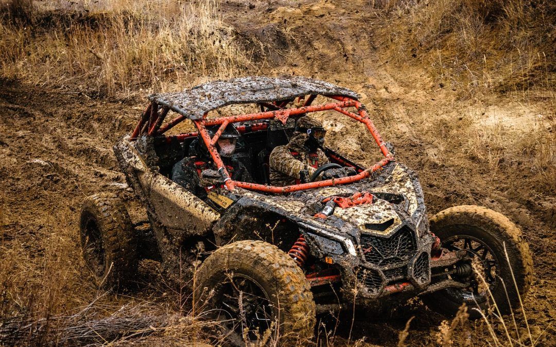 Recognizing and Avoiding Common Trail Hazards: Rocks, Holes, and Drop-offs
